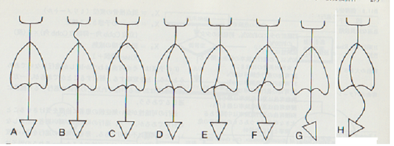 側彎種類 (2).png